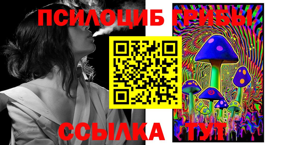Псилоцибиновые грибы Magic Shrooms  Вход с VPN  Хасавюрт  магазин продажи наркотиков  Галлюциногенные грибы MAGIC MUSHROOMS 