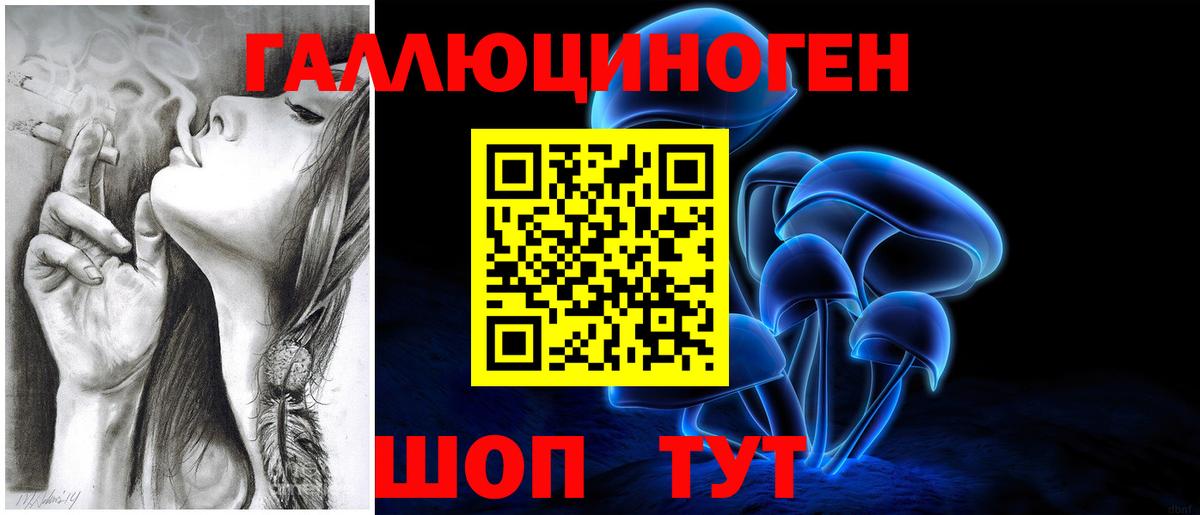 Галлюциногенные грибы мухоморы Хасавюрт